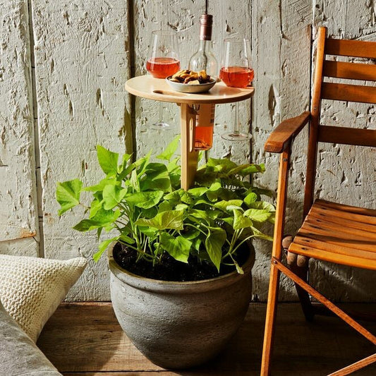 Picky™ Sammenklappeligt Picnicbord med Vinholder til Udendørs Brug